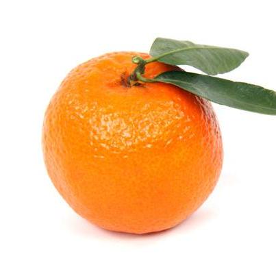 ClemenPine's profile picture